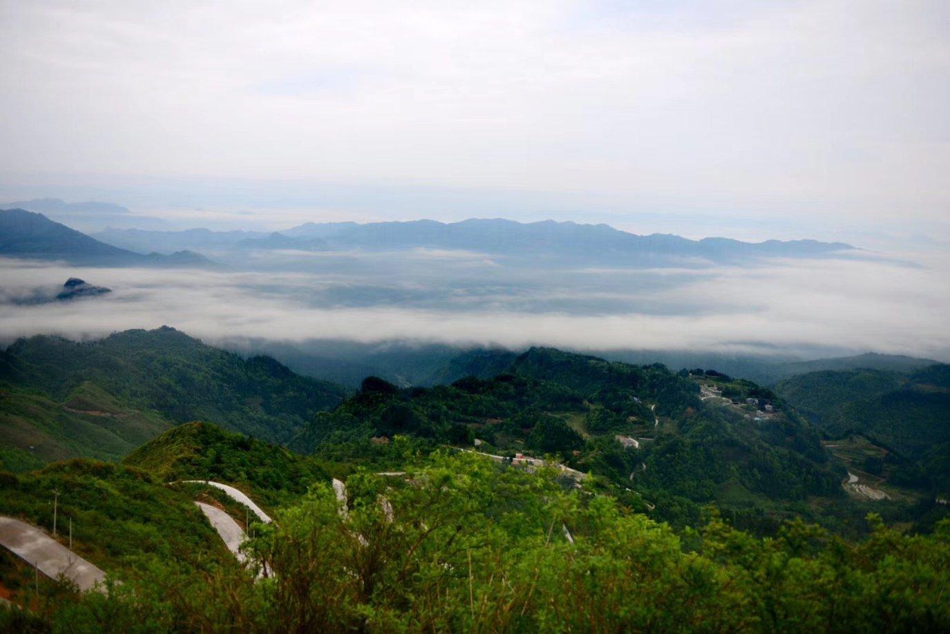 僵尸粉碎机